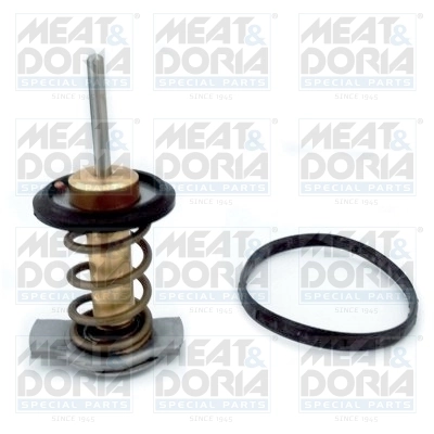Thermostat, coolant
